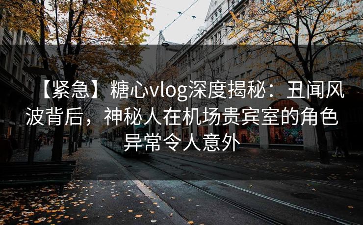 【紧急】糖心vlog深度揭秘：丑闻风波背后，神秘人在机场贵宾室的角色异常令人意外