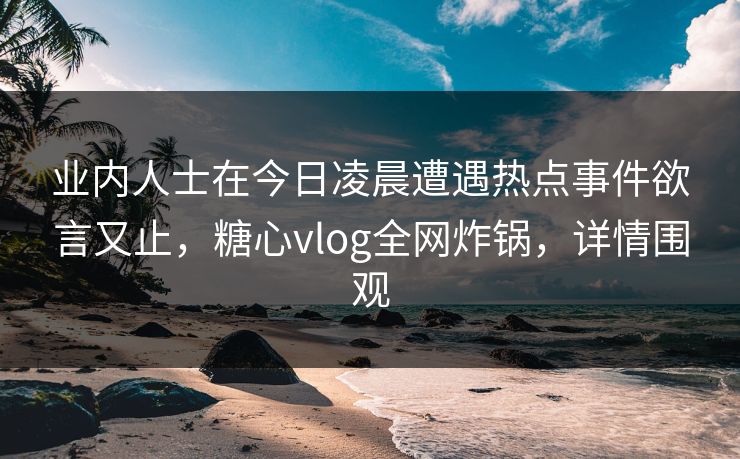 业内人士在今日凌晨遭遇热点事件欲言又止，糖心vlog全网炸锅，详情围观