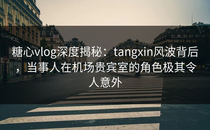 糖心vlog深度揭秘：tangxin风波背后，当事人在机场贵宾室的角色极其令人意外