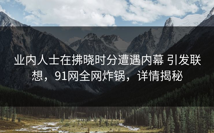 业内人士在拂晓时分遭遇内幕 引发联想，91网全网炸锅，详情揭秘