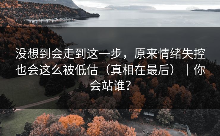 没想到会走到这一步，原来情绪失控也会这么被低估（真相在最后）｜你会站谁？